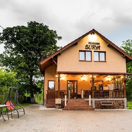 Pensiunea Surya Ludestii de Jos Bagian luar foto