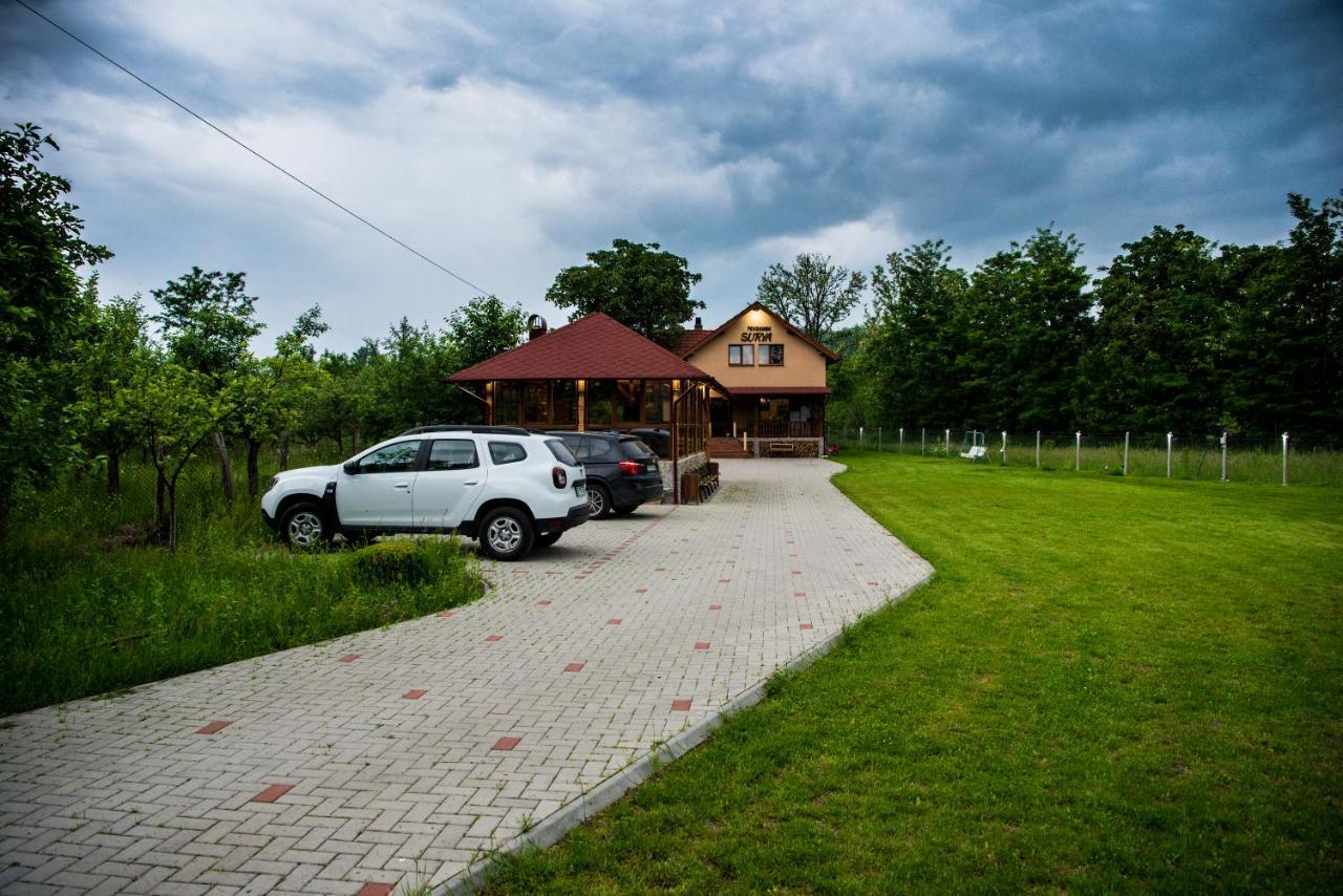 Pensiunea Surya Ludestii de Jos Bagian luar foto